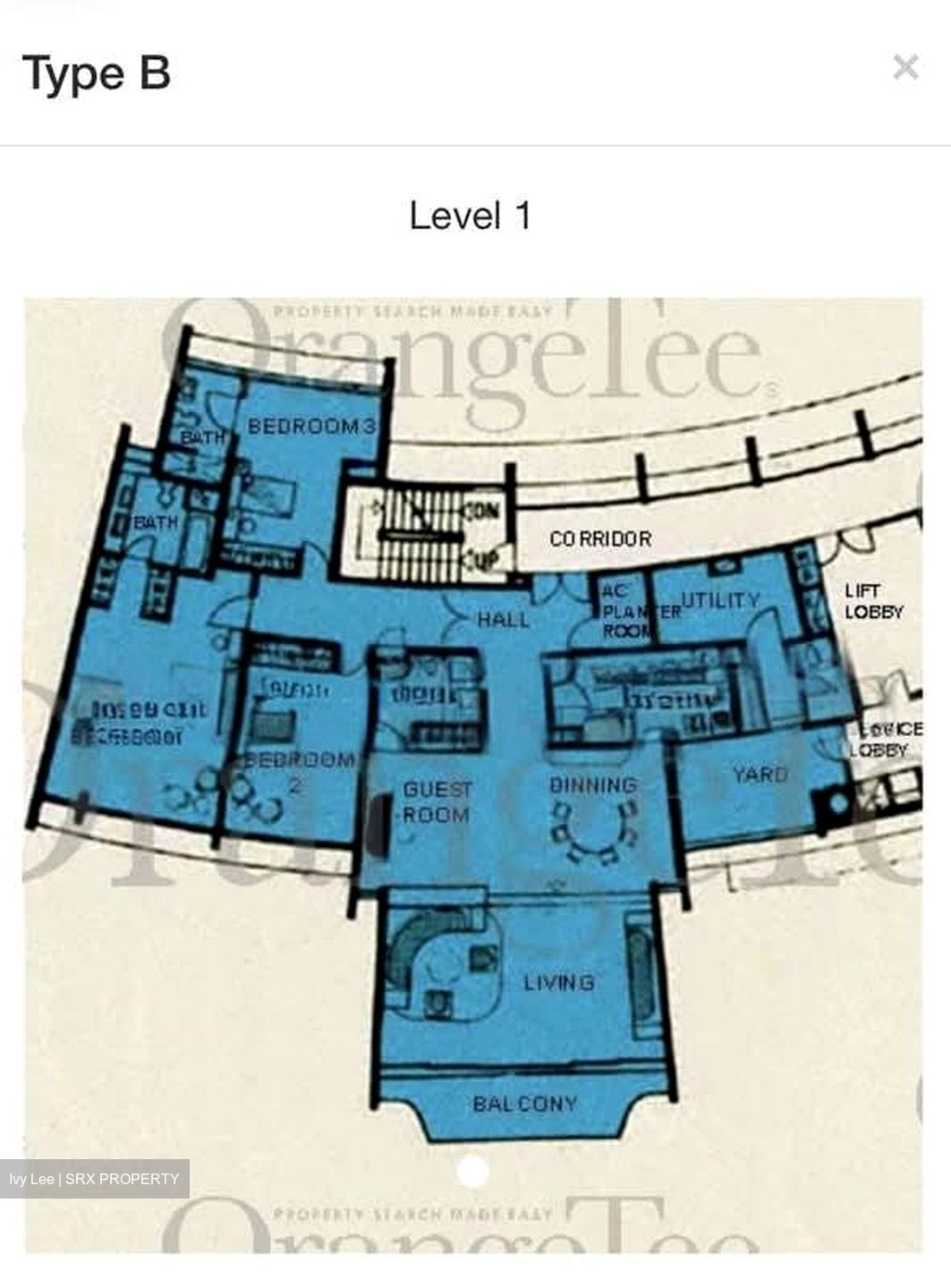 Cairnhill Plaza (D9), Apartment #572242181